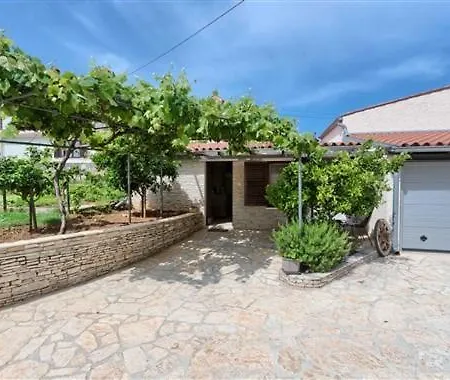 Orange Tree Μεντουλίν