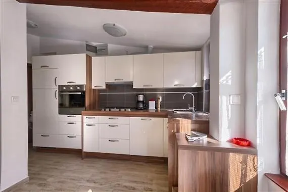 Orange Tree 메덜린